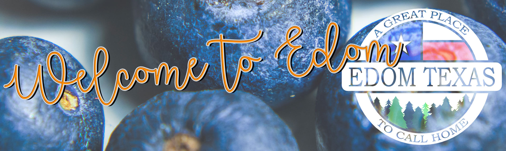 Welcome to Edom Texas